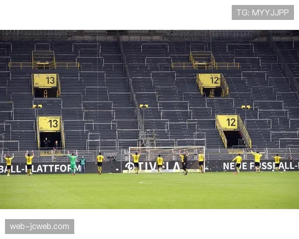 纪录片《威斯特法伦的脉搏》讲述多特蒙德球迷文化